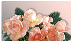 DNSEMP-C-062 Bouquet Of Roses Peach